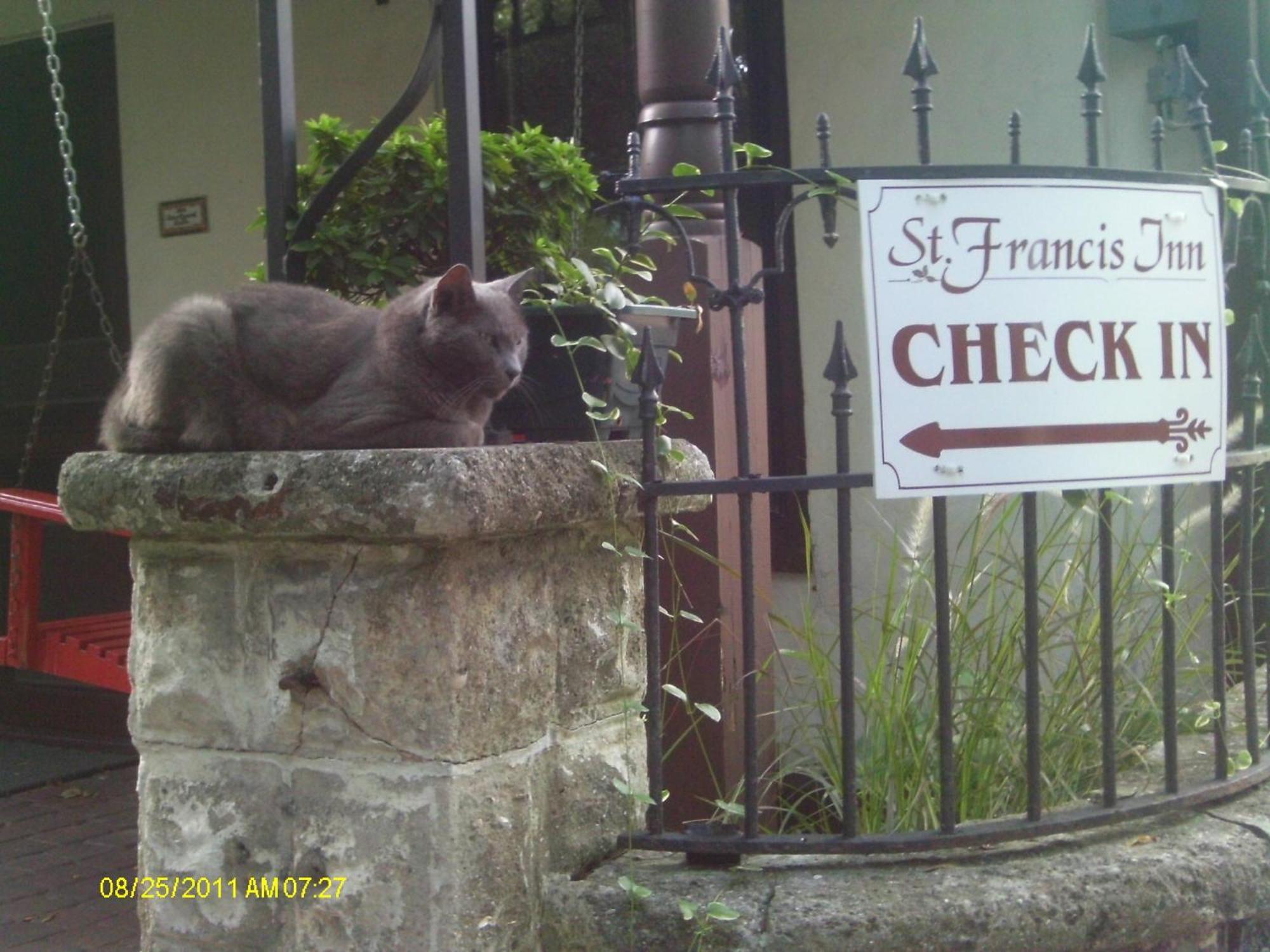 St. Francis Inn - Saint Augustine Экстерьер фото